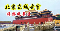 欧美妇女网大黑屌视频在线中国北京-东城古宫旅游风景区